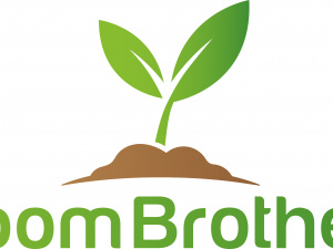 Bloom Brothers New York